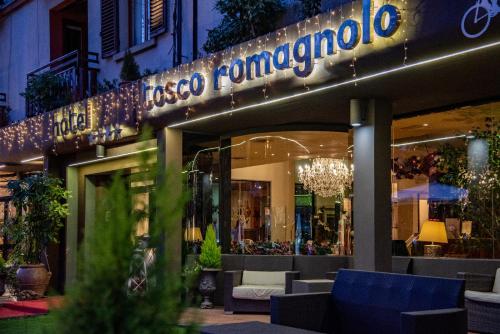 Фотографии гостиницы 
            Hotel Tosco Romagnolo