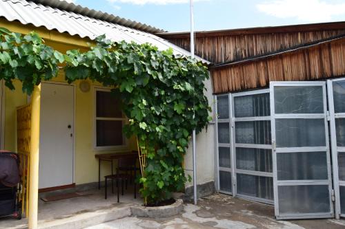 Фотография гостевого дома Ого