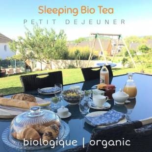 Фотографии мини отеля
Sleeping Bio Tea