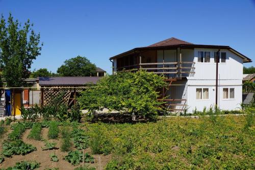 Фотография гостевого дома Дубрава