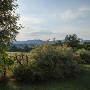 Фотографии мини отеля 
            B&B Puntodivista