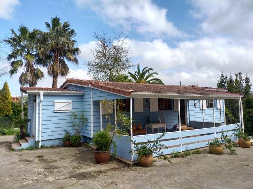 Фотография гостевого дома La isla de las sirenas