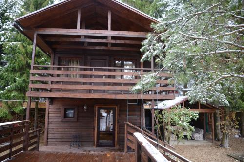 Фотография гостевого дома Авиатор