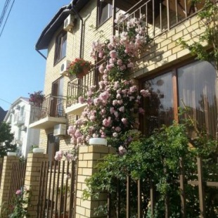 Фотография гостевого дома Домик у моря