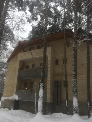 Фотография апарт отеля Снежинка