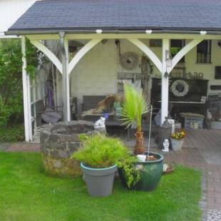 Фотографии мини отеля
Villa Jani b&b