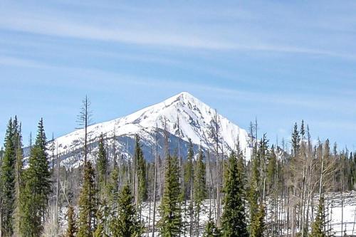 Фотография гостевого дома Wildernest Gore Trail Condo