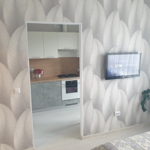 Фотография квартиры Квартира Луговая 2