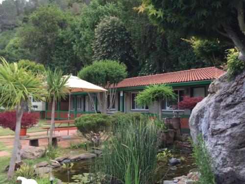 Фотография гостиницы Clear Lake Vista Resort