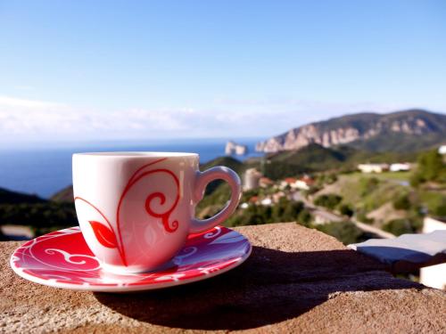 Фотография мини отеля B&B Pedra Rubia