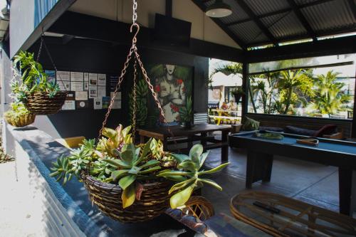 Фотография хостела Backpackers at 1770