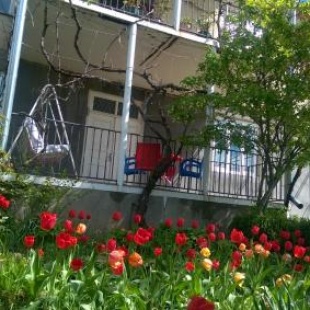 Фотография гостевого дома Nivaldy