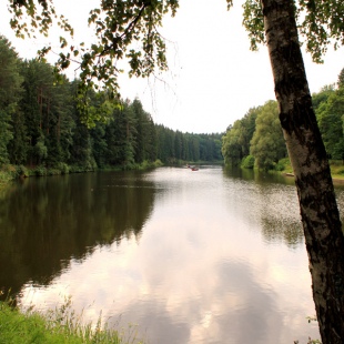 Фотография достопримечательности Печерский лесопарк