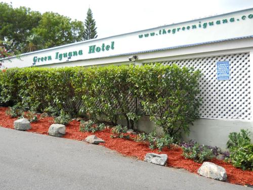 Фотография мини отеля The Green Iguana Hotel