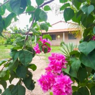 Фотографии гостевого дома
Sítio Rupestre - Peruaçu