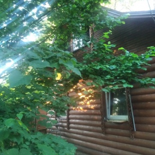 Фотография Коттеджа Частный дом Домик с Баней в Саду