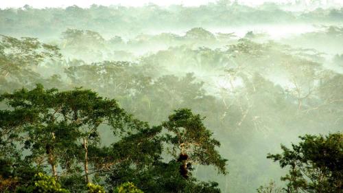 Фотографии гостиницы
Gaia Riverlodge