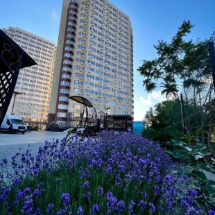 Фотография квартиры Квартира Уютная Студия ЖК Трио Комфорт