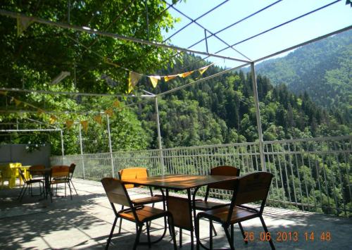 Фотография гостевого дома Вилла Боржоми Садгери