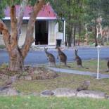 Фотография мини отеля 31 The Rocks