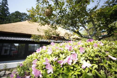 Фотография мини отеля Yufuin Lamp no Yado