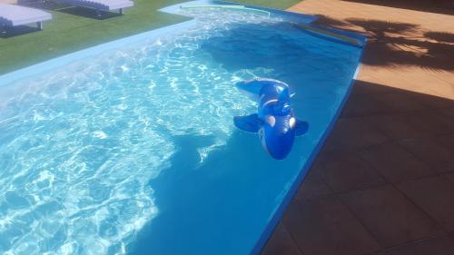 Фотография мини отеля Biomas Hotel