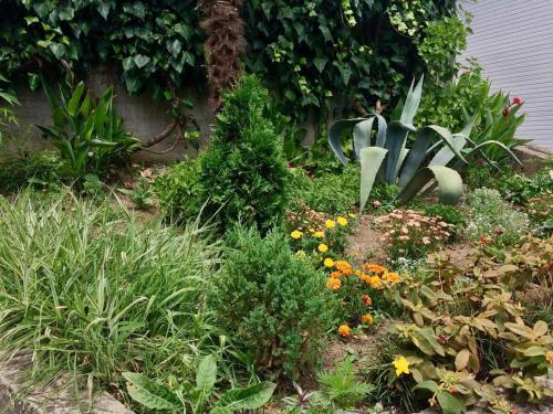 Фотографии кемпинга
Гостевой дом