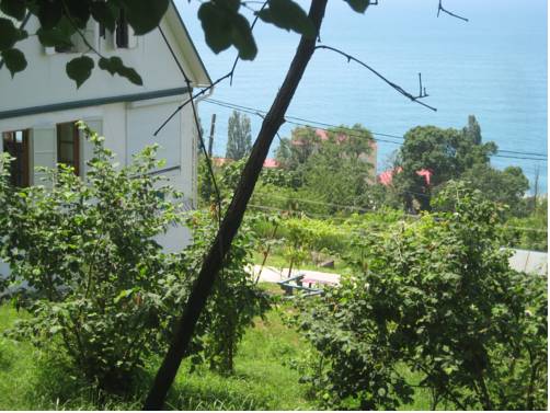 Фотография гостевого дома Алагг