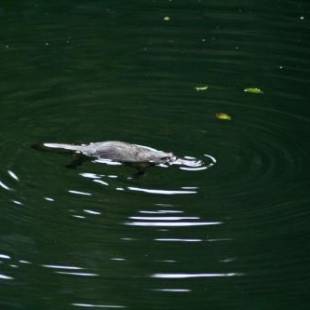 Фотографии гостевого дома
Kaalba