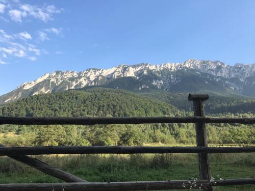 Фотография гостевого дома Pensiunea Kyfana