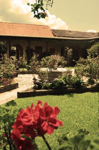 Фотография гостиницы Hotel Aurora