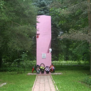 Фотография памятника Памятник З. Голицыной