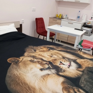 Фотография квартиры Квартира Уютная студия на Яграх