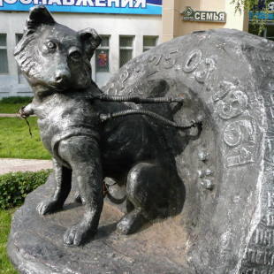 Фотография Памятник собаке-космонавту Звёздочке