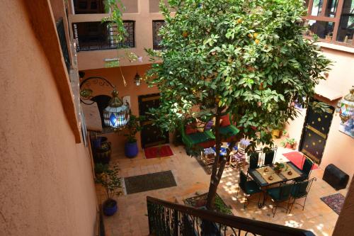 Фотографии мини отеля
Auberge Ayam Atlas