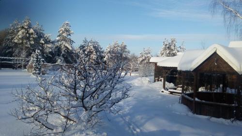 Фотография гостевого дома Дом в Опухликах