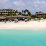 Фотография гостиницы Bucuti & Tara Boutique Beach Resort - Adult Only