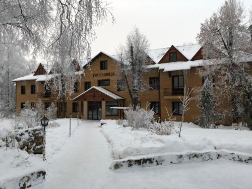Фотографии гостиницы 
            Русский Лес