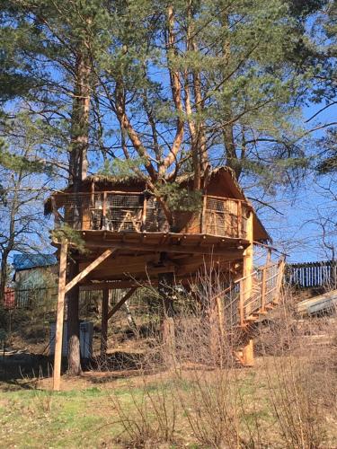 Фотографии базы отдыха
Treehouse Stvořidla