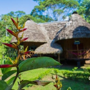 Фотография кемпинга Amazon Lodge Pilche