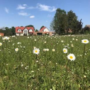 Фотографии гостевого дома
Alwine - Landhaus an den Spreewiesen