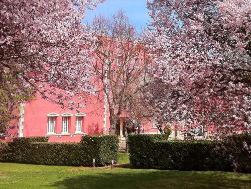 Фотография гостиницы Hotel San Camilo