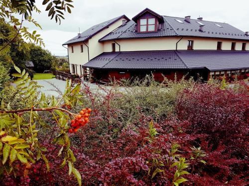 Фотография мини отеля Dobry Czas