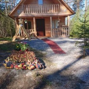 Фотография гостевого дома Дом на хуторе