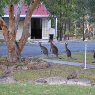 Фотографии мини отеля
31 The Rocks