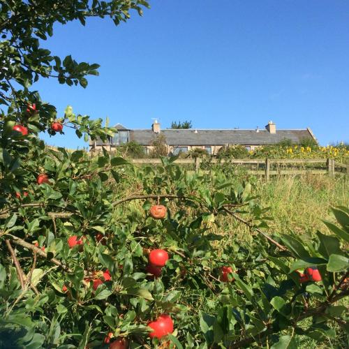 Фотография гостевого дома Cocklekitty Cottage