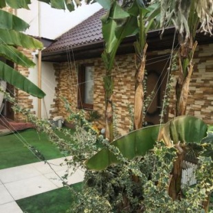 Фотография гостевого дома Зеленый дворик