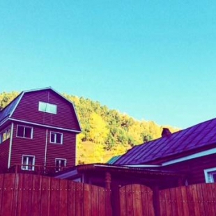 Фотография мини отеля Бодрый Медведь