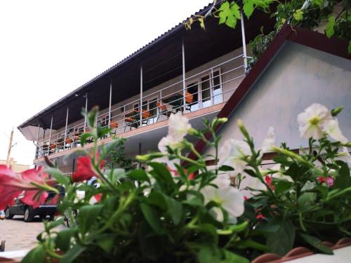 Фотография мини отеля Камалия