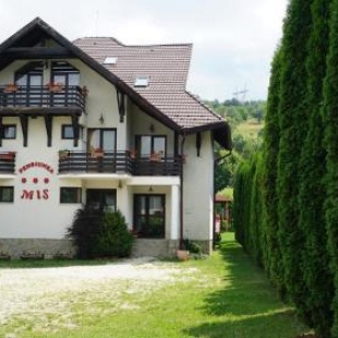 Фотография гостевого дома Pensiunea MIS
